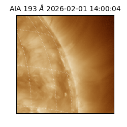 saia - 2026-02-01T14:00:04.843000