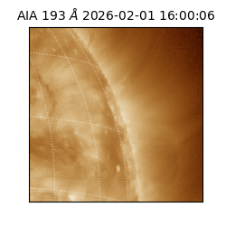 saia - 2026-02-01T16:00:06.780000