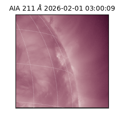 saia - 2026-02-01T03:00:09.637000