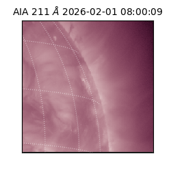 saia - 2026-02-01T08:00:09.618000