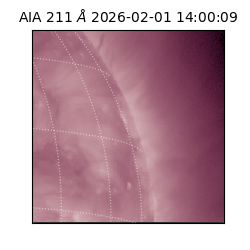 saia - 2026-02-01T14:00:09.625000