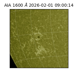 saia - 2026-02-01T09:00:14.130000