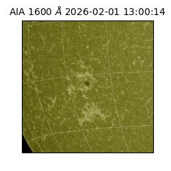 saia - 2026-02-01T13:00:14.126000