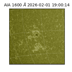 saia - 2026-02-01T19:00:14.126000