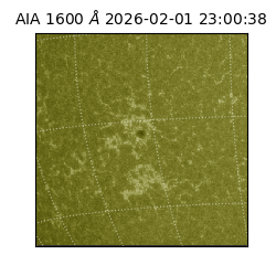 saia - 2026-02-01T23:00:38.126000