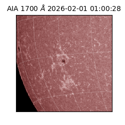 saia - 2026-02-01T01:00:28.717000