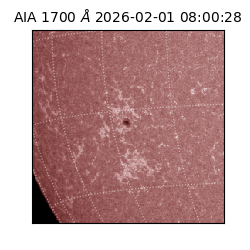 saia - 2026-02-01T08:00:28.710000