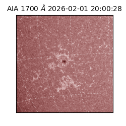 saia - 2026-02-01T20:00:28.718000