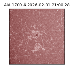 saia - 2026-02-01T21:00:28.717000