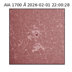 saia - 2026-02-01T22:00:28.717000