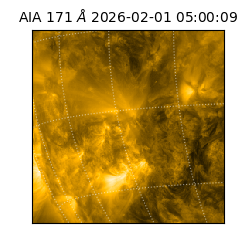 saia - 2026-02-01T05:00:09.350000