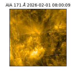 saia - 2026-02-01T08:00:09.342000