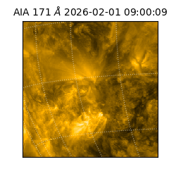 saia - 2026-02-01T09:00:09.349000