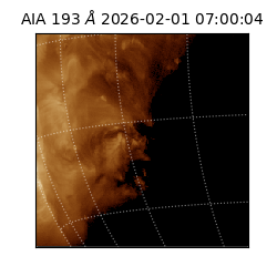 saia - 2026-02-01T07:00:04.843000