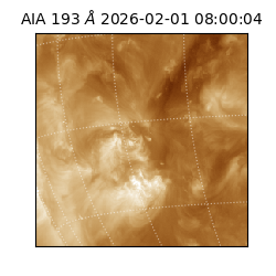 saia - 2026-02-01T08:00:04.835000