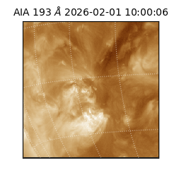 saia - 2026-02-01T10:00:06.939000