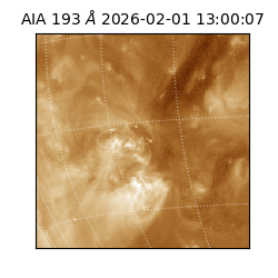 saia - 2026-02-01T13:00:07.367000