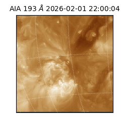 saia - 2026-02-01T22:00:04.843000