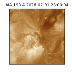 saia - 2026-02-01T23:00:04.843000