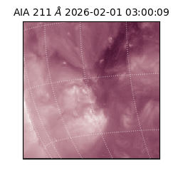 saia - 2026-02-01T03:00:09.637000