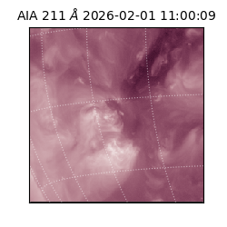 saia - 2026-02-01T11:00:09.632000