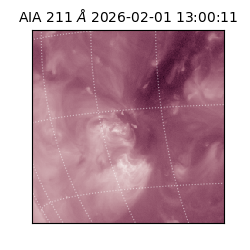 saia - 2026-02-01T13:00:11.615000