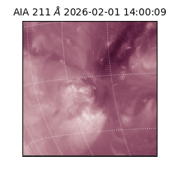 saia - 2026-02-01T14:00:09.625000