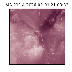 saia - 2026-02-01T21:00:33.622000