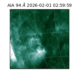 saia - 2026-02-01T02:59:59.131000