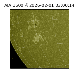 saia - 2026-02-01T03:00:14.125000