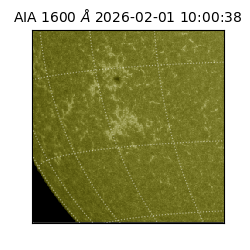 saia - 2026-02-01T10:00:38.125000