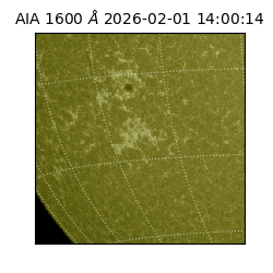 saia - 2026-02-01T14:00:14.126000