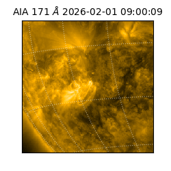 saia - 2026-02-01T09:00:09.349000