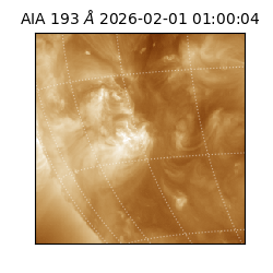 saia - 2026-02-01T01:00:04.843000