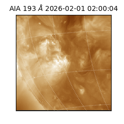 saia - 2026-02-01T02:00:04.843000