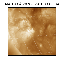 saia - 2026-02-01T03:00:04.843000