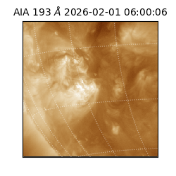 saia - 2026-02-01T06:00:06.616000