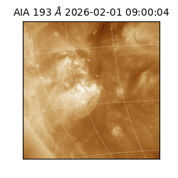 saia - 2026-02-01T09:00:04.843000