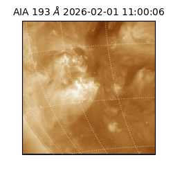 saia - 2026-02-01T11:00:06.614000