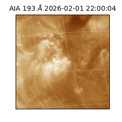 saia - 2026-02-01T22:00:04.843000