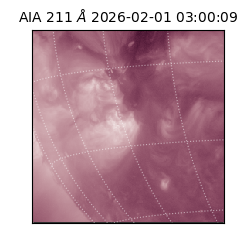 saia - 2026-02-01T03:00:09.637000