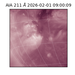 saia - 2026-02-01T09:00:09.626000