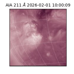 saia - 2026-02-01T10:00:09.622000