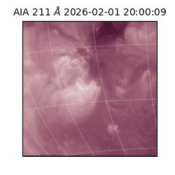 saia - 2026-02-01T20:00:09.623000