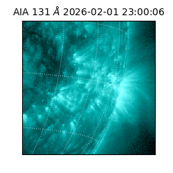 saia - 2026-02-01T23:00:06.630000