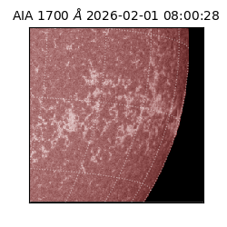 saia - 2026-02-01T08:00:28.710000