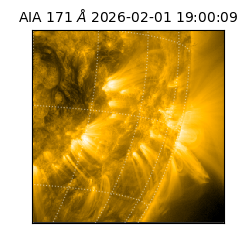 saia - 2026-02-01T19:00:09.352000