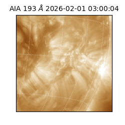 saia - 2026-02-01T03:00:04.843000