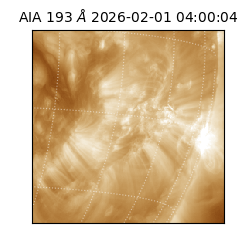 saia - 2026-02-01T04:00:04.843000