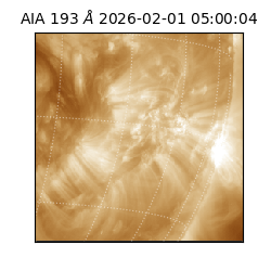 saia - 2026-02-01T05:00:04.843000